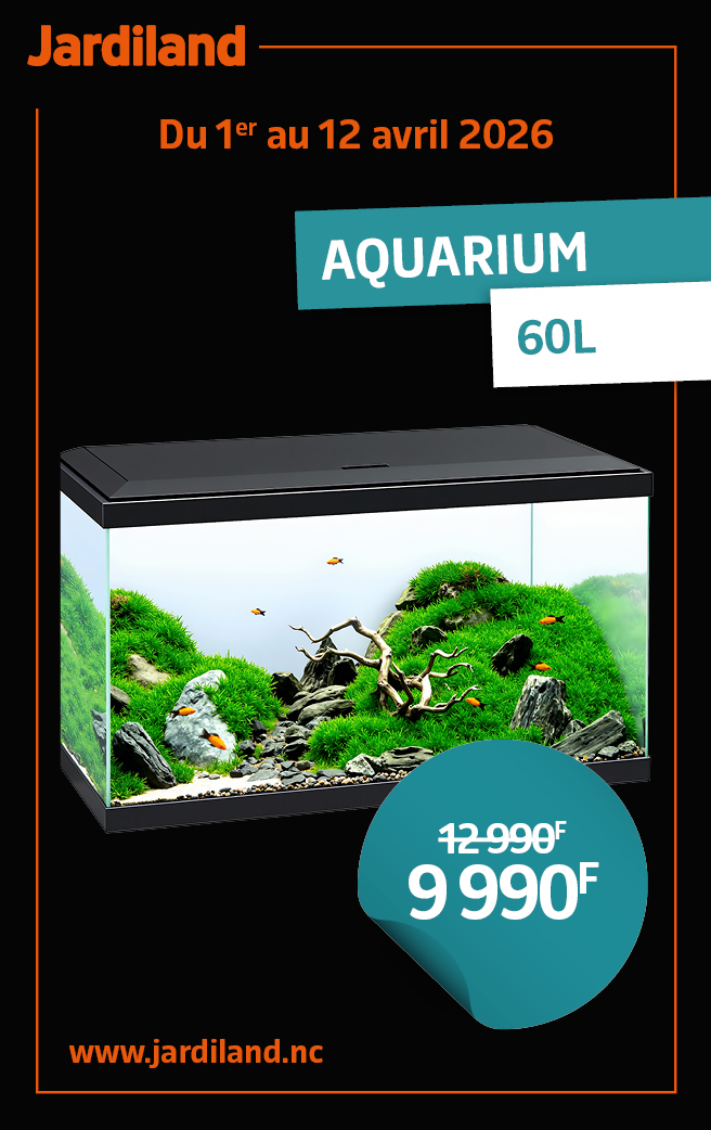 FOP AQUARIUM
